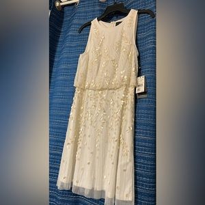 Lace Dress with Beads